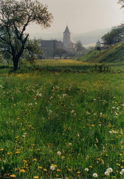 Kappeler Kirche vom Frohneberg